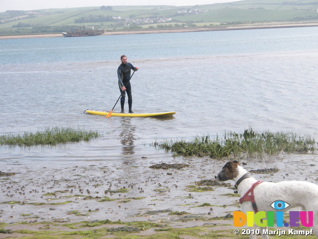 JT00934 Henry looking at Brad stand up paddling (sup) on River Taw estuary